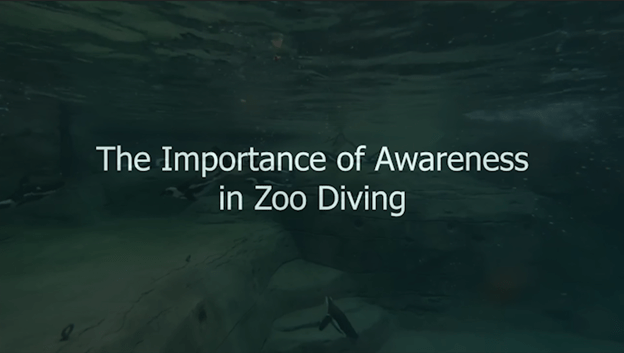 Underwater view of a penguin pool with the words "The Importance of Awareness in Zoo Diving"